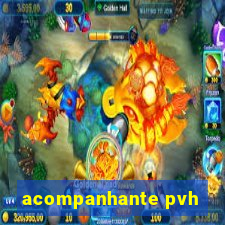 acompanhante pvh